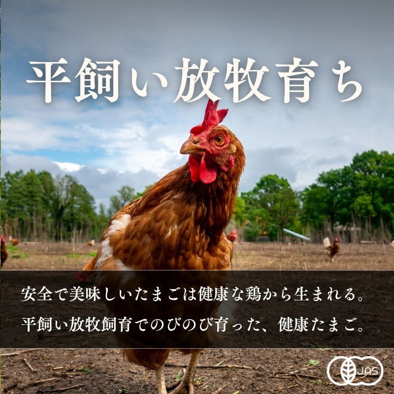 (卵)ボリュームープラン