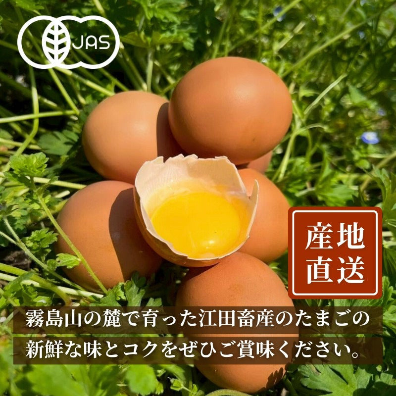 (卵)レギュラープラン