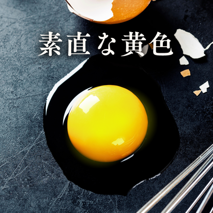 （卵）レギュラープラン