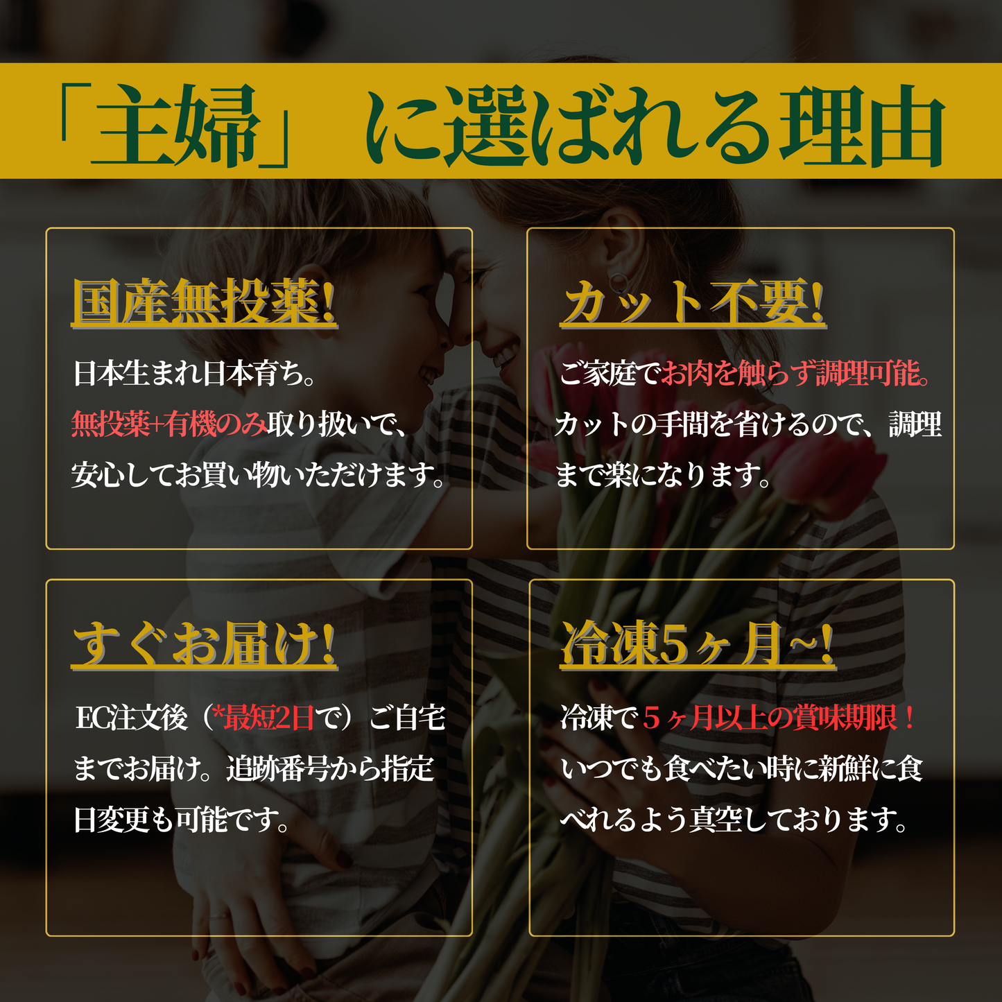 （肉）レギュラープラン