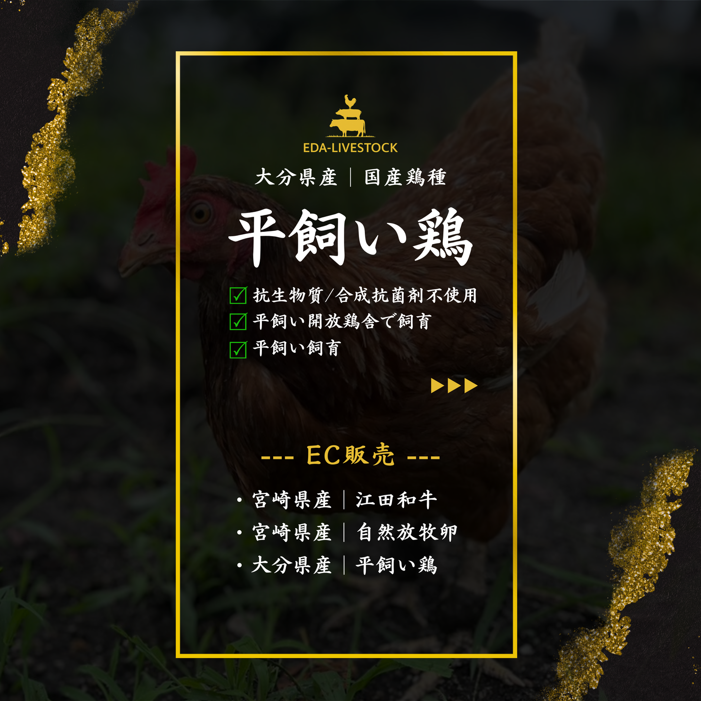 平飼い鶏セット