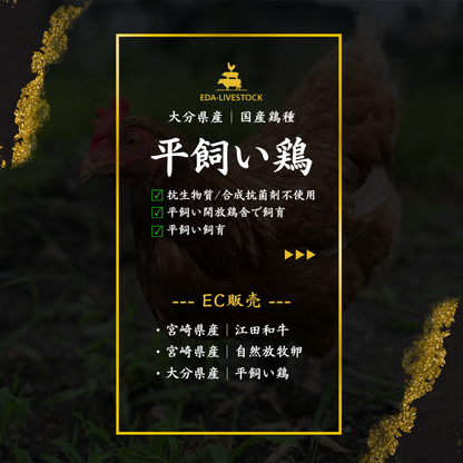 平飼い鶏セット