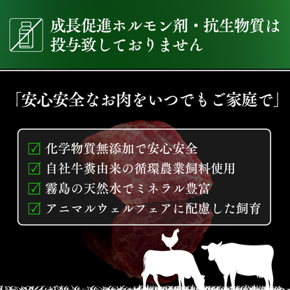 （肉）レギュラープラン