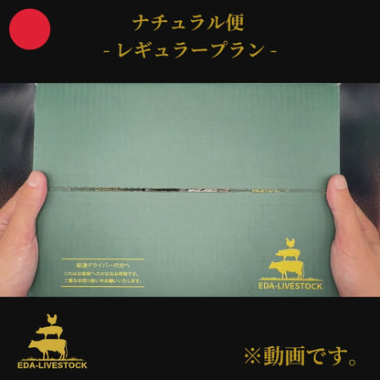 【新定期便】レギュラープラン