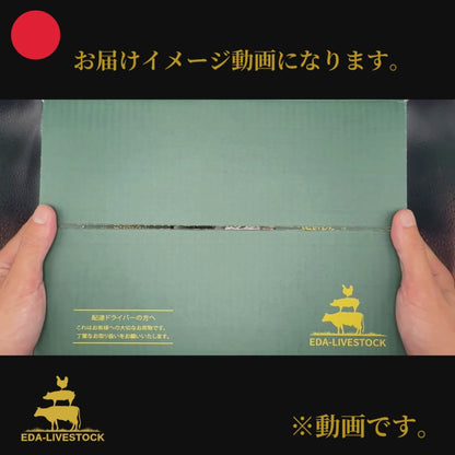 豪華訳ありセット