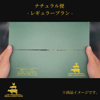 （肉）レギュラープラン