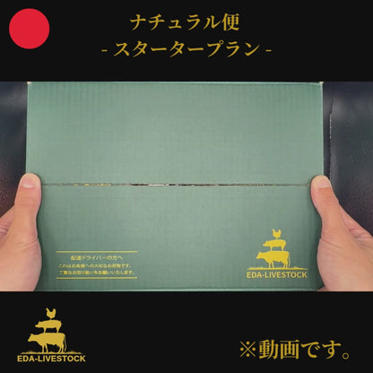 スタータープラン