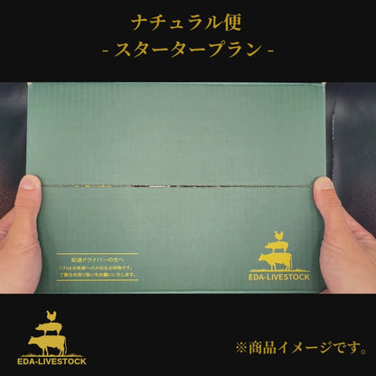 （肉）スタータープラン